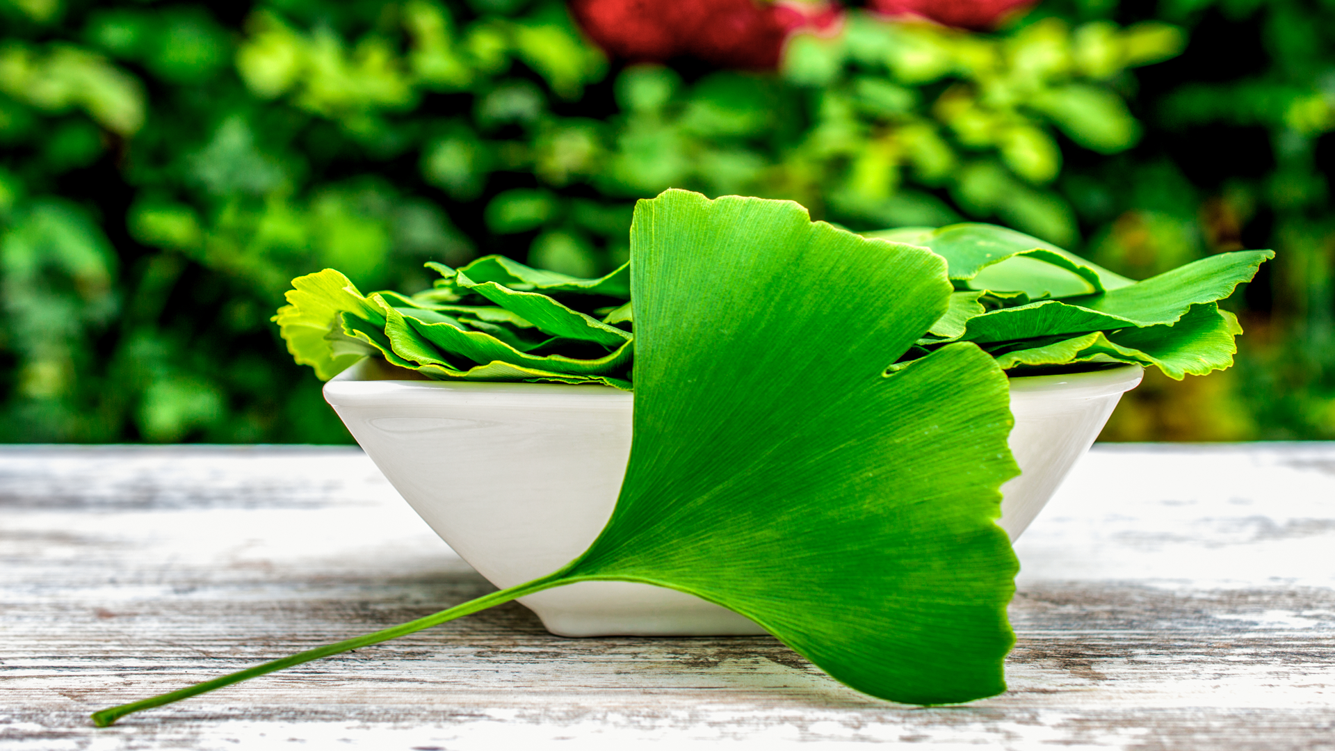 Adulteration of Ginkgo Supplements and Quality Issues