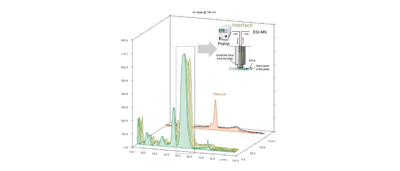 HPTLC densitograms of green stage pennycress seeds (two batches). The main TAG band is extracted using the interface to an ion trap MS