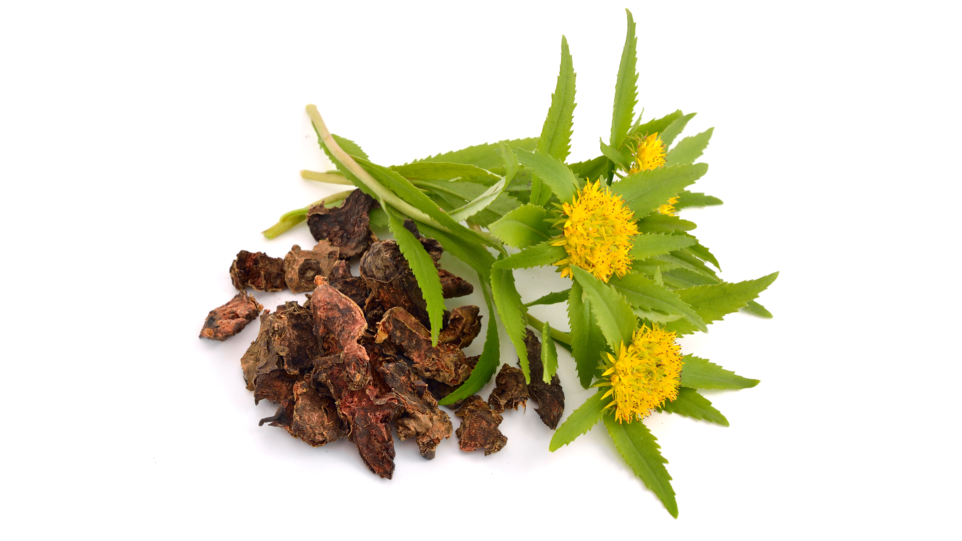 Authenticity of Rhodiola Rosea Products