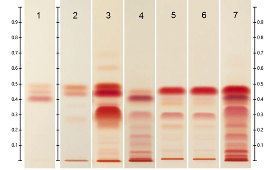 HPTLC chromatogram after derivatization with Fast Blue salt B reagent under white light, track 1: SST (CBN, THC and CBD, with increasing hRF value), tracks 2–7: different Cannabis samples