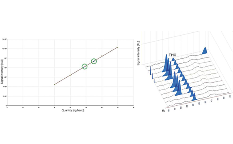 Quantification of THC in 2 Cannabis samples (triplicates, green circles) by a 5-level calibration (left), evaluation via peak area with linear regression (linear-2); densitograms (right) after absorption measurement at 210 nm