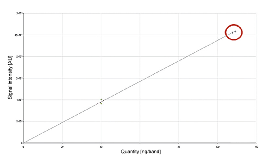 Limit test of a sample (duplicate, red circle) which exceeds the EU limit (≥ 0.2% THC), absorption measurement at 210 nm, evaluation via peak area with linear regression (linear-1); single level calibration