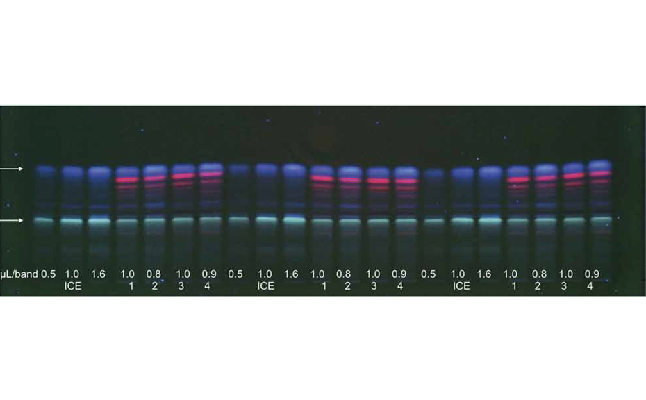 AMD 2 chromatogram at UV 366 nm of ICE 3 (three different volumes) and the 4 aromatic hops (no. 1–4, threefold applied n = 3)