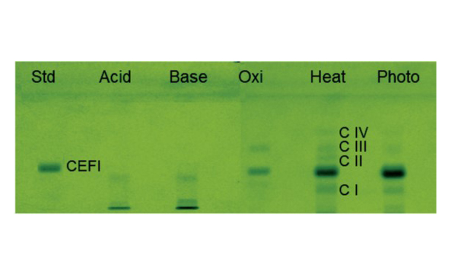 Degradation study of CEFI ; reprinted from [1]