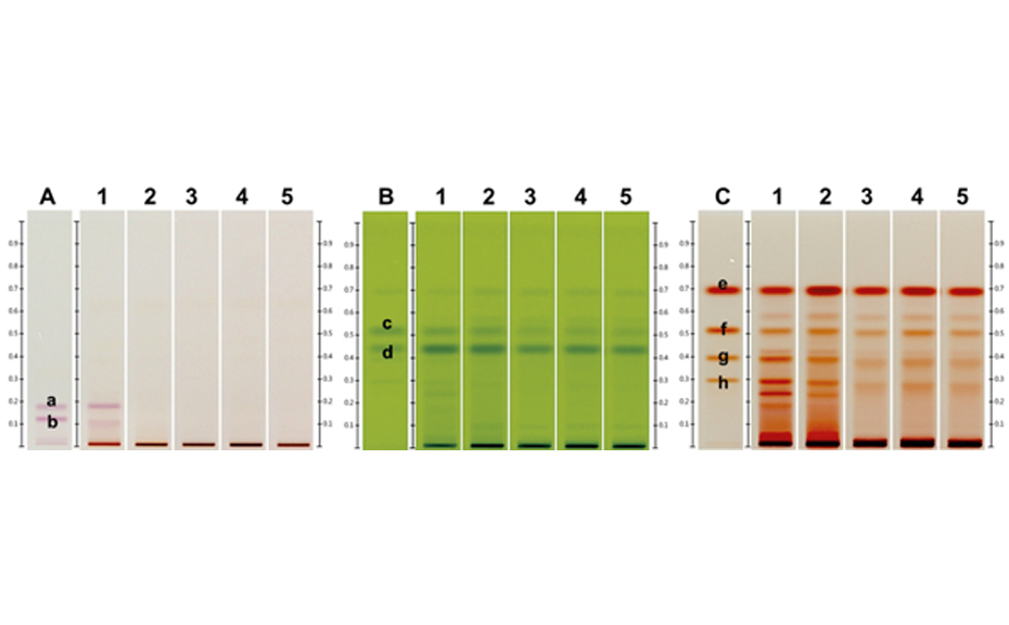 HPTLC chromatogram of different standard mixtures for (A) anthocyanins (a: cn-ara, b: cn-glc) illuminated under white light; (B) alkaloids (c: caffeine and d: theobromine) under UV 254 nm and (C) PAs (e: EC, f: PA B2, g: PA C1 and h: Cinn A2) under white light after derivatization as well as products from different steps of the chocolate manufacturing with 1: raw fresh cocoa beans, 2: fermented, dried cocoa beans, 3: roasted cocoa mass, 4: 1 h conched cocoa mass and 5: molded chocolate bars