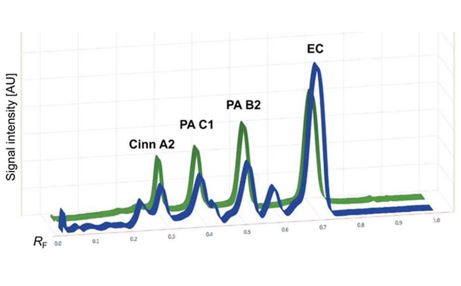 Densitogram of the raw fresh cocoa beans extract (blue) and PA standard solution (green), absorption measurement at 510 nm after derivatization