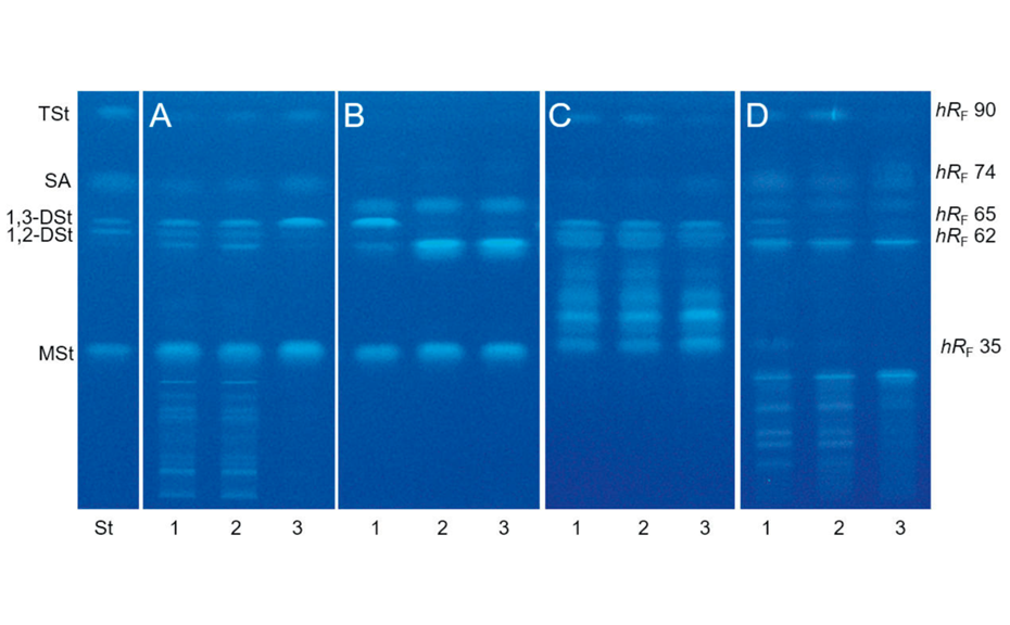 HPTLC fingerprint of E472 emulsifiers under UV 366 nm