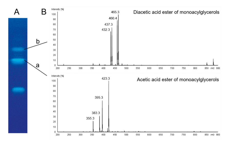 Identification of constituents of E472 emulsifiers by HPTLC–MS