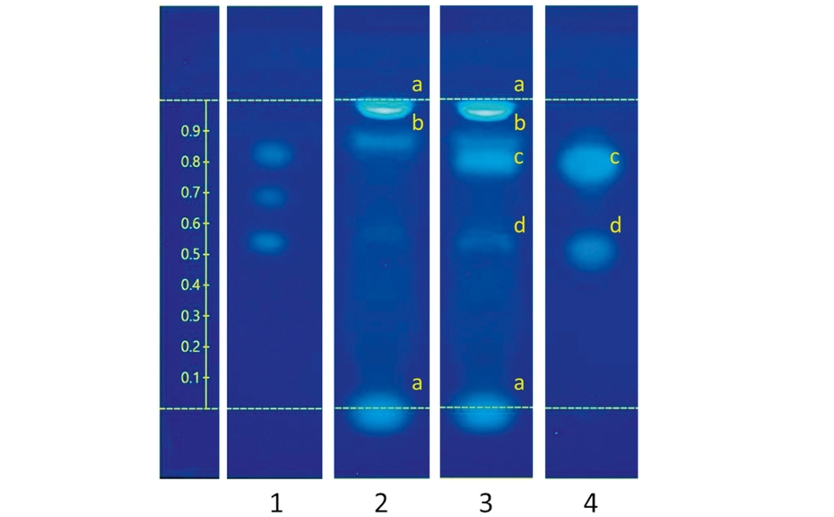 Online monitoring of the purification process by LC-UV (254 nm, left) versus offline by HPTLC-UV (individual fractions at 254 nm, right)