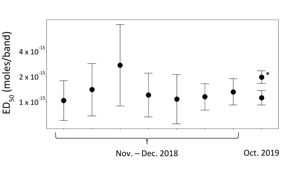 Online monitoring of the purification process by LC-UV (254 nm, left) versus offline by HPTLC-UV (individual fractions at 254 nm, right)