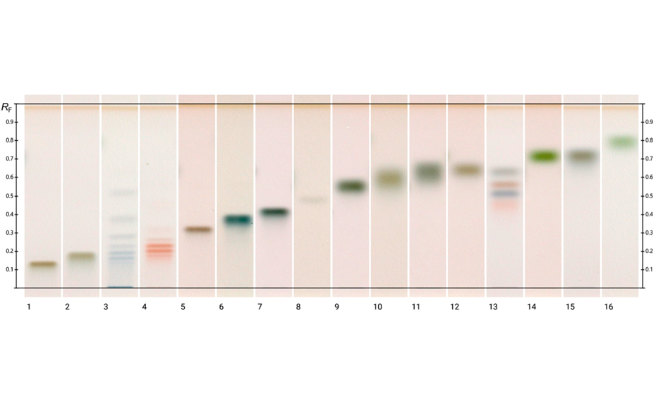 HPTLC chromatograms of different standards (method 3) at white light after derivatization; track 1: galacturonic acid, 2: glucuronic acid, 3: maltodextrin, 4: fructo-oligosaccharides, 5: raffinose, track 6: maltotriose, 7: lactose, 8: trehalose, 9: galactose, 10: ribose, 11: mannose, 12: arabinose, 13: mixture of fructose, maltose, sucrose, and glucose (250 ng each), 14: fucose, 15: xylose, 16: rhamnose (1 μg each, except for the mixture on track 13)