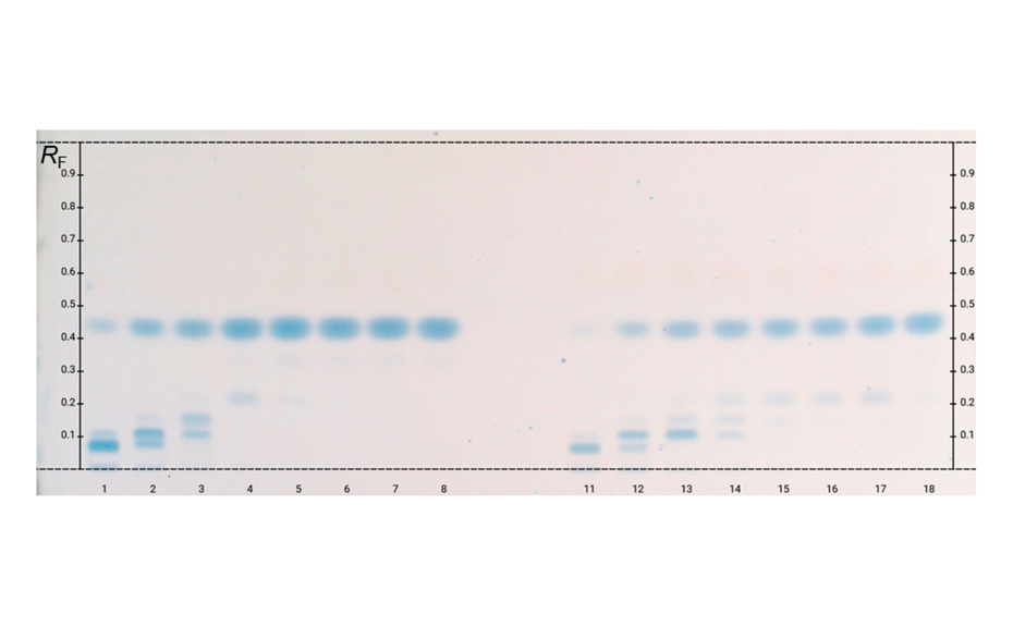 HPTLC fingerprints of InsPx (10 U*L-1, 37 °C) of the phytase Quantum® Blue at pH 3.6 (tracks 1–8) and pH 5.5 (tracks 11–18) at the time points 5, 30, 60, 120, 180, 240, 300 min and 24 h in ascending order; Image from [1] (https://creativecommons.org/licenses/by/4.0/legalcode).