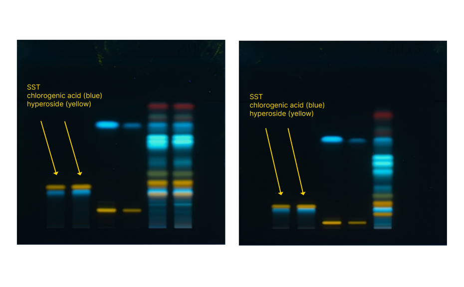 Comparison of SST resolution with the highest proportion of formic acid (left) and the lowest proportion of formic acid (right)