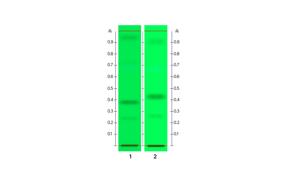 HPTLC chromatogram of UHM after development