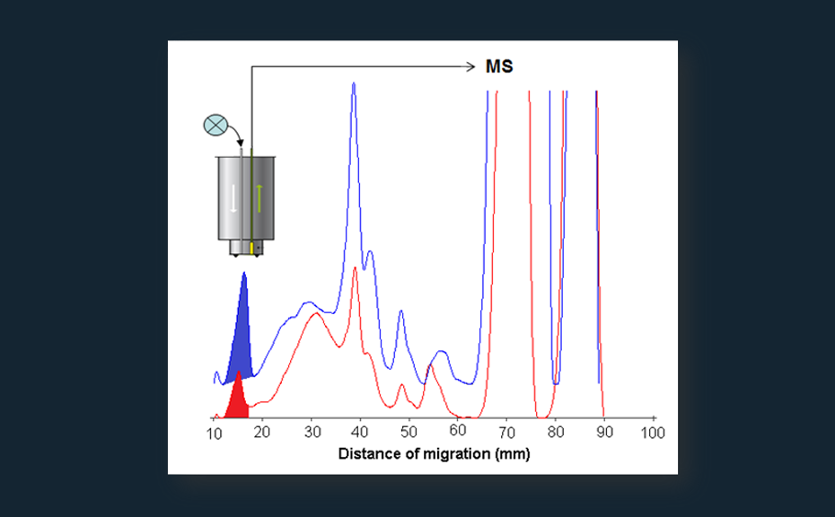 Densitogram comparison of B5 (red) and B20 (blue)