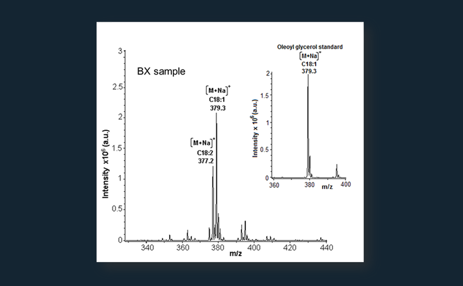 HPTLC-MS full scan mass spectrum of monoacylglycerol zone