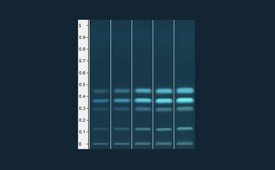 Standard mix: 1, 2, 5, 7 and 10 μL applied (image after derivatization, under UV 366 nm)