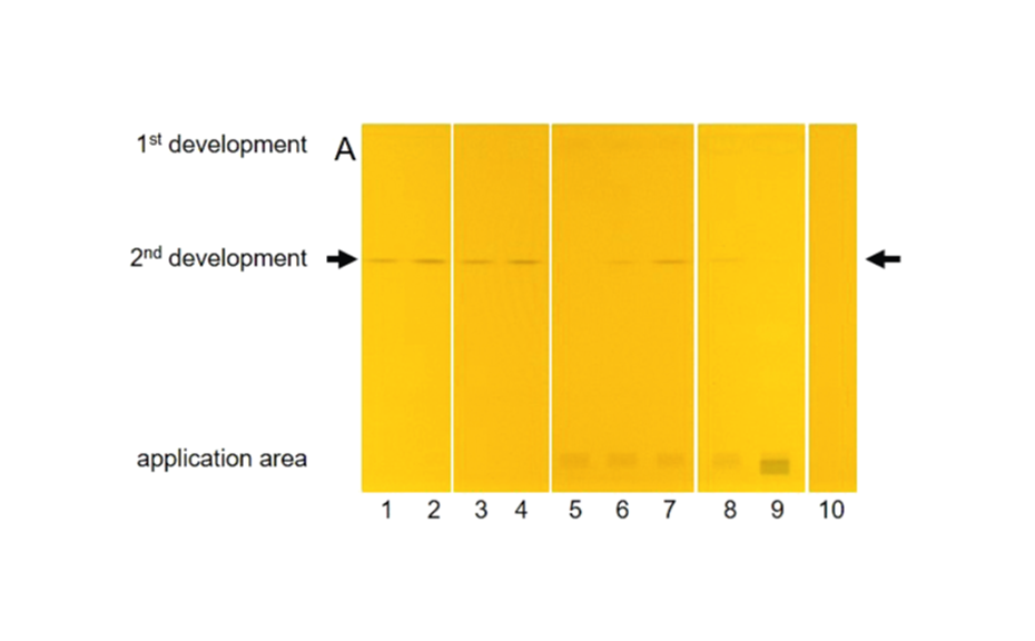 Plate image after pSPE and derivatization with o-tolidine in white light