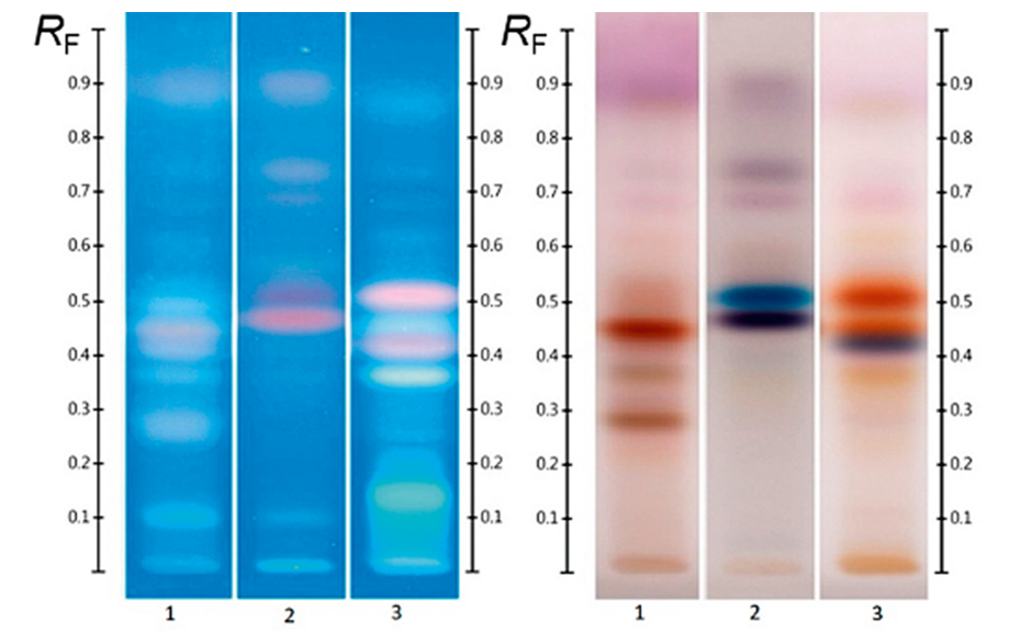 Different honeys labelled as “Jarrah” (track 1), “Banksia” (track 2) and “Marri” (track 3); image at UV 366 nm (left) and white light (right) after derivatization with vanillin reagent