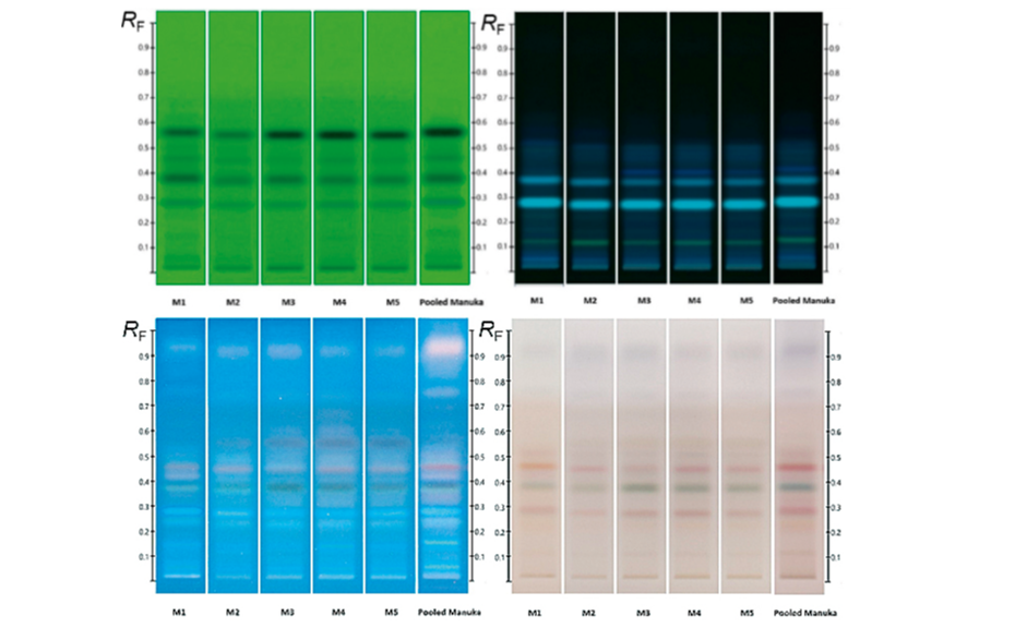 HPTLC fingerprints of several Manuka samples along with pooled sample; (from left to right) images at UV 254 nm, UV 366 nm after development and UV 366 nm and white light after derivatization