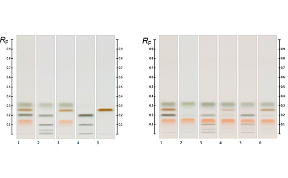 (left) HPTLC chromatograms of standards (track 1) and different syrups (from track 2–5: glucose, golden, corn, and maple syrup); (right) standards (track 1), Manuka (track 2) and spiked Manuka (from tracks 3–6 with the respective syrups from the left)