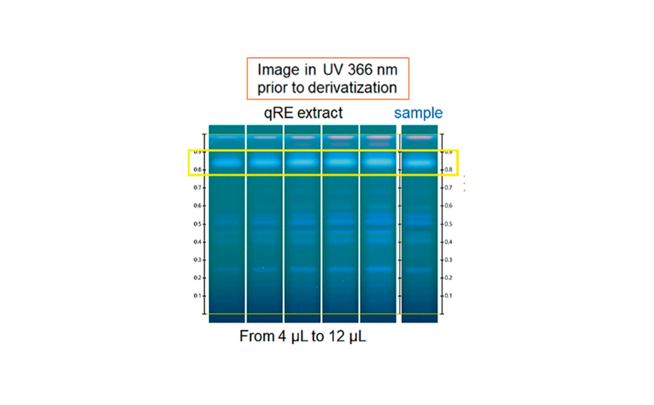 Fingerprints of the qRE calibration curve and the sample. Image in UV 366 nm