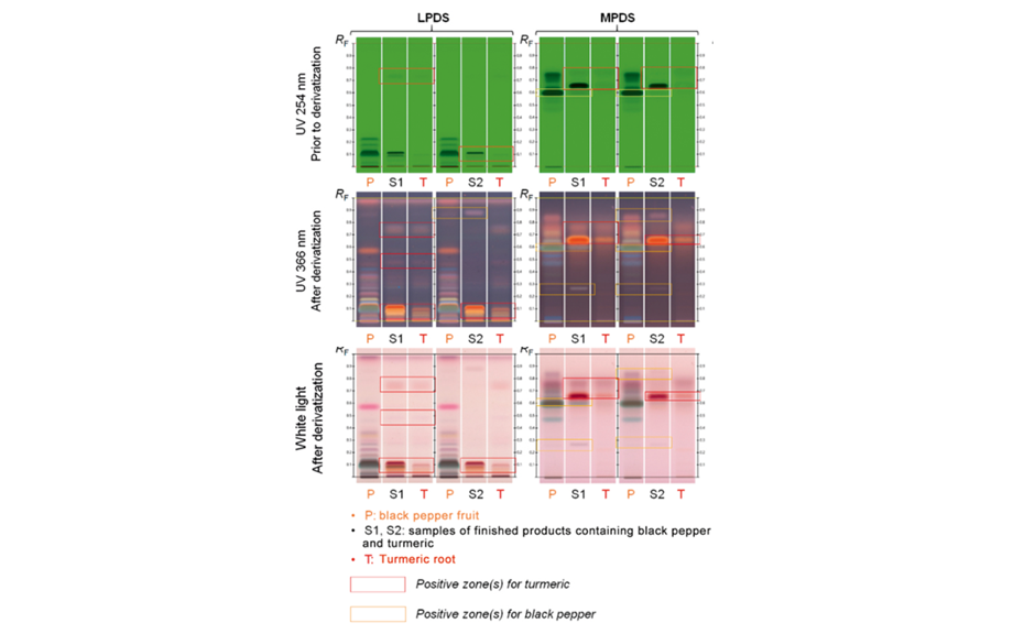 Fingerprints of Curcuma longa and Piper nigrum in comparison to those of two poly-herbal products