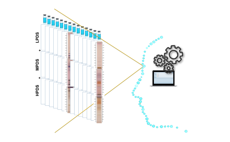 Visualization of the CDS and its composite fingerprint

