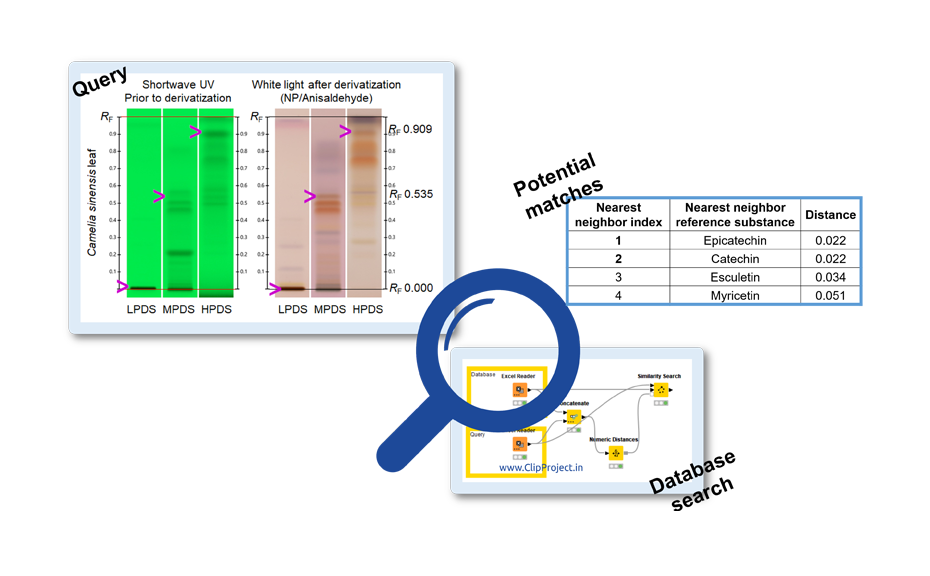 Use of the database for proposal of potential matches

