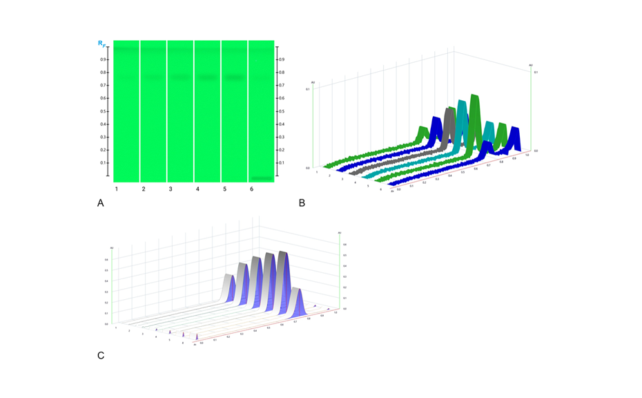 (A) HPTLC images in UV 254 nm; (B) Peak Profiles from Images (PPI), UV 254 nm with TLC Visualizer 2; (C) Peak Profiles from Scanning Densitometry (PPSD), 290 nm with TLC Scanner 4; (track 1–5: standard tracks and track 6: 10.0 μL honey sample solution)