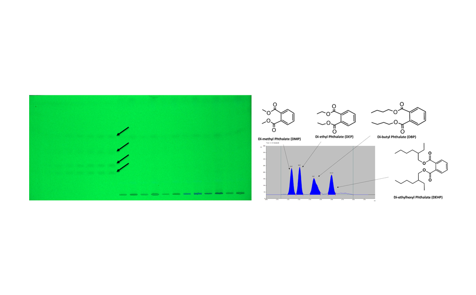 HPTLC chromatogram in UV 254 nm (left) and densitogram measured at 240 nm (right)

