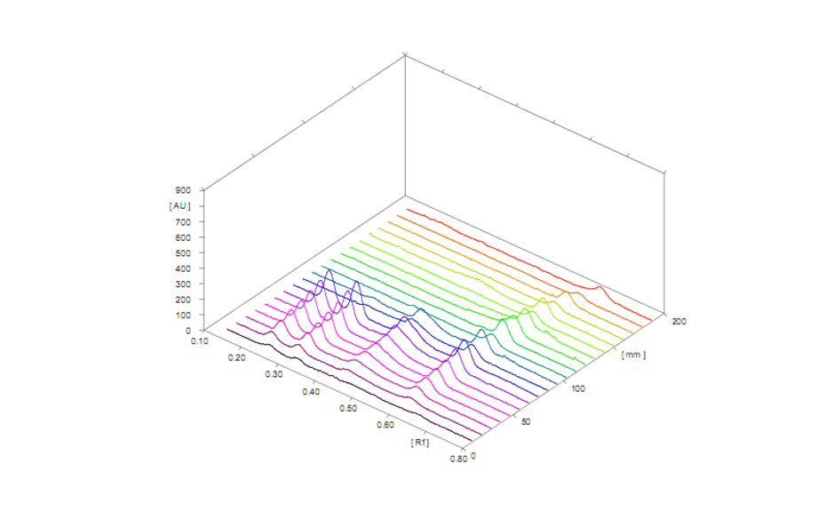 3D profile of scanned sample and standard tracks (measured at 240 nm)

