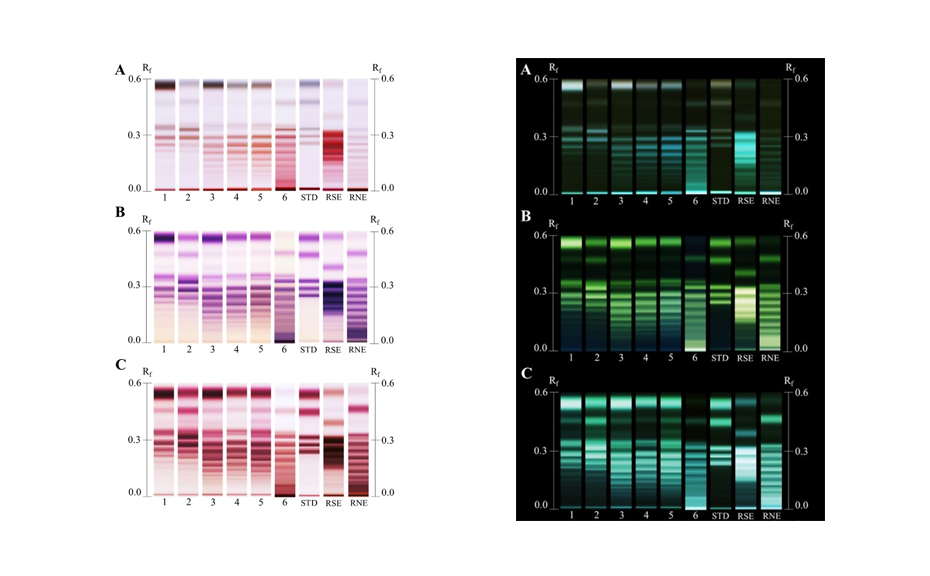 Processed HPTLC chromatograms in white light and negative-HPTLC chromatograms, after derivatization with A aniline, B α-naphthol and C orcinol