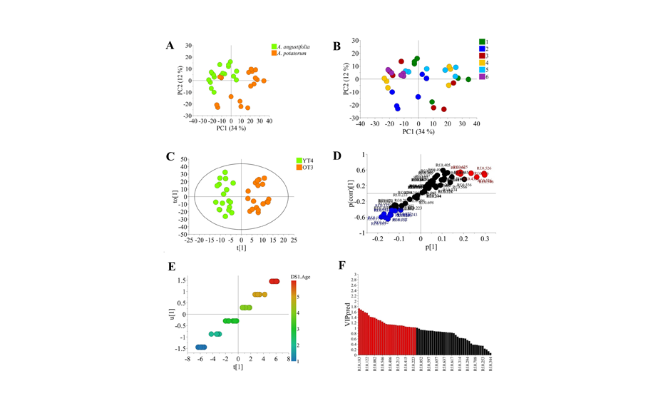 MVDA of HPTLC data