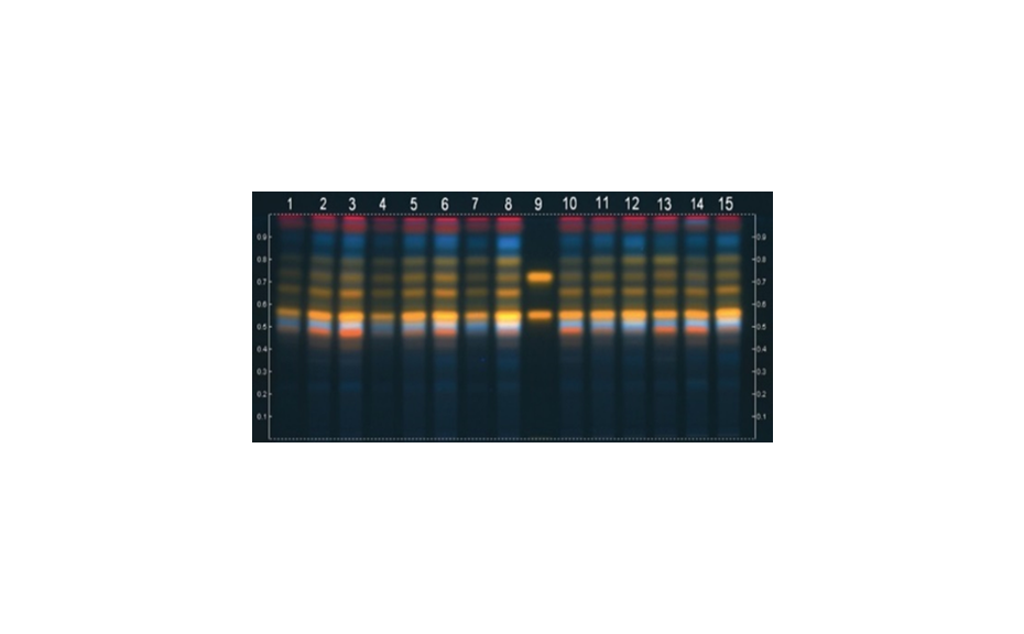 Figure 10a: HPTLC glass plate (20 x 10 cm)