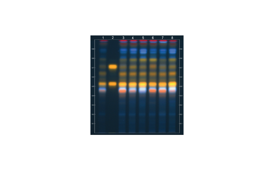 Figure 10b: TLC plate (20 x 20 cm)