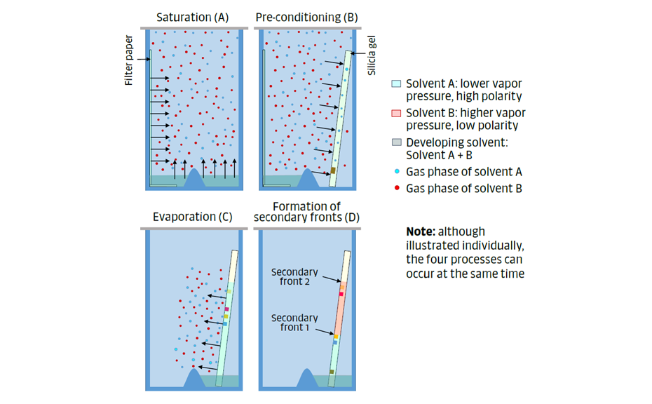 Figure 7: The gas phase is involved in four important processes: saturation (A), pre-conditioning (B), evaporation (C), and secondary fronts (D).