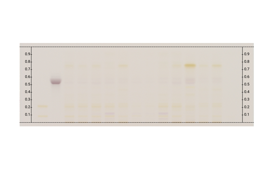 Figure 1a: Image of chromatogram in white light