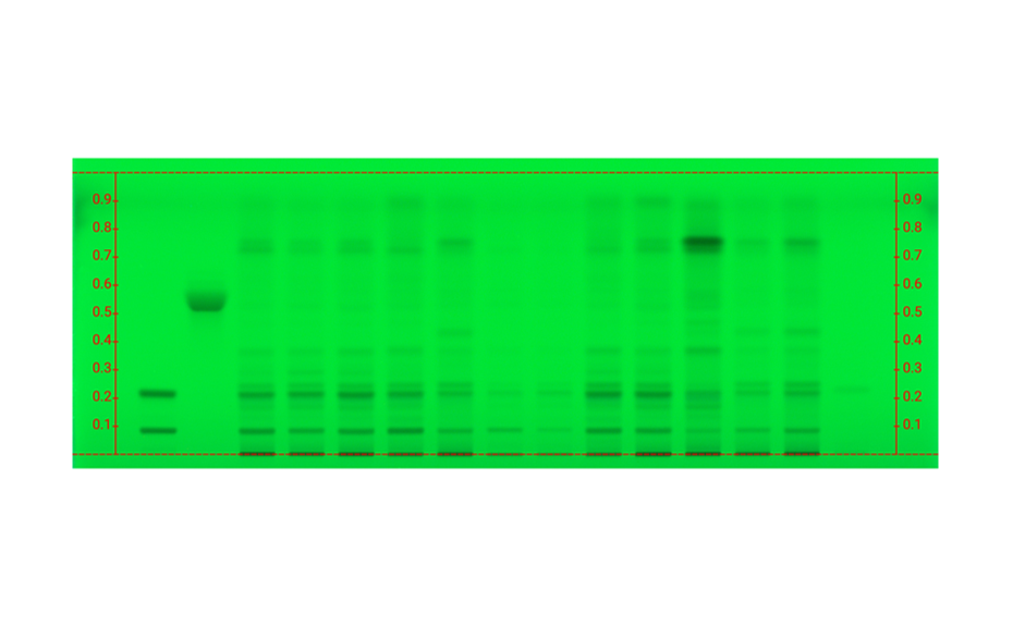 Figure 1b: Image of chromatogram in short-wave UV light (254 nm)