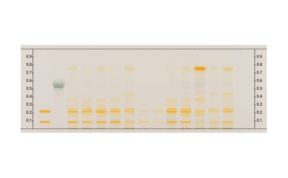 Figure 5a: Image of chromatogram in white light after derivatization