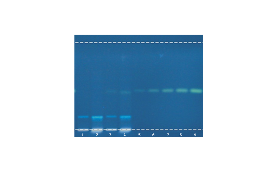 Figure 2: Detection of 1 ppm adulteration with aristolochic acid I in Stephania. Track assignment: 1–2 Stephania tetrandra pure (10 and 30 μL), 3–4 Stephania adulterated with 1 μg/g–1 aristolochic acid I (10 and 30 μL), 5–9 increasing amounts of aristolochic acid I