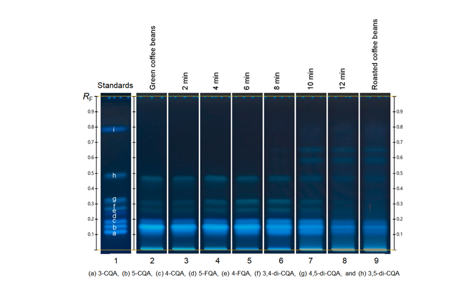 Comparative HPTLC fingerprints of the whole roasting process