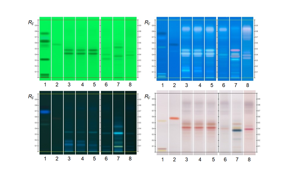 Fingerprints of mono-floral honeys from Western Australia in different detection modes