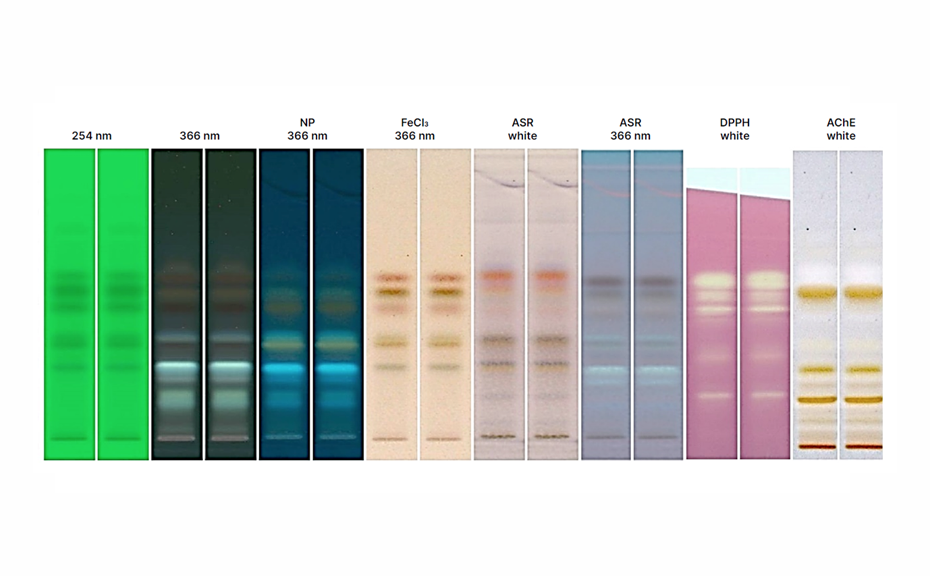 HPTLC profiling for bioactive ingredients in Indian propolis Fig 2