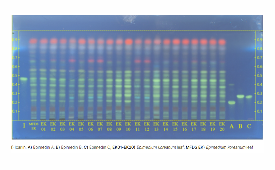 method-development-monograph-fig3