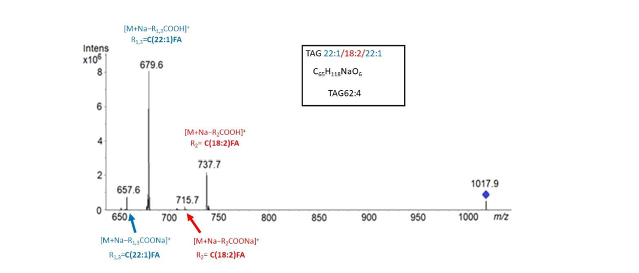 HPTLC-MS/MS spectrum of TAG (62:4) with detail of linoleic acid at sn-2