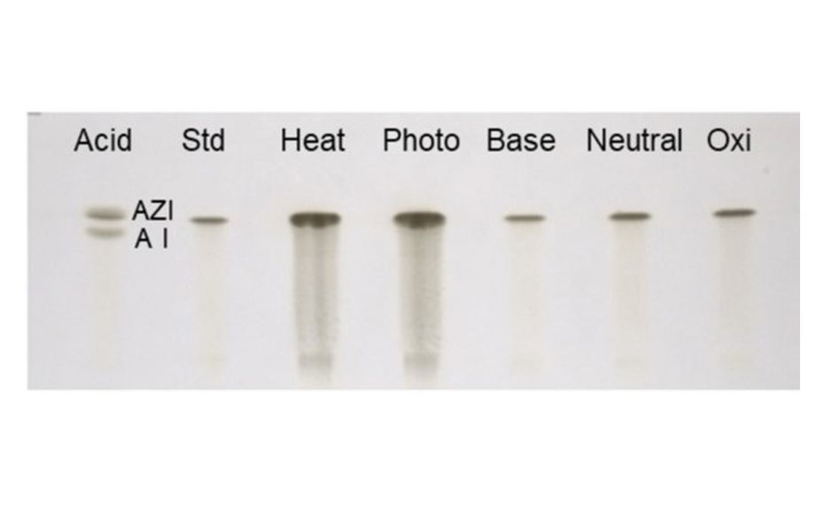Degradation study of AZI; reprinted from [1]