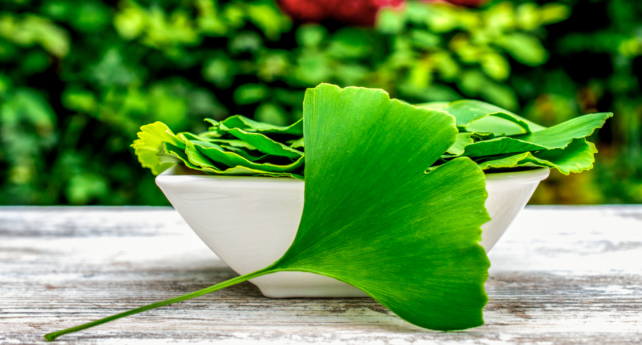 Adulteration of Ginkgo Supplements and Quality Issues