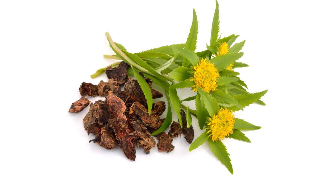 Authenticity of Rhodiola Rosea Products